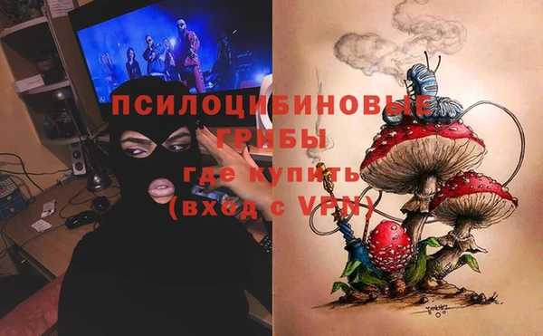 прущая мука Бородино